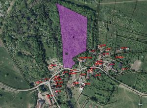 Fotografie nemovitosti - Prodej lesního pozemku v k.ú. Skalice u Lovosico výměře 15940 m2