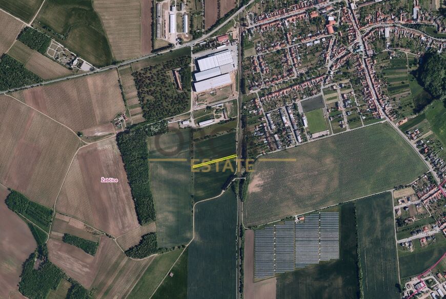 Prodej orné půdy v k.ú. Žabčice