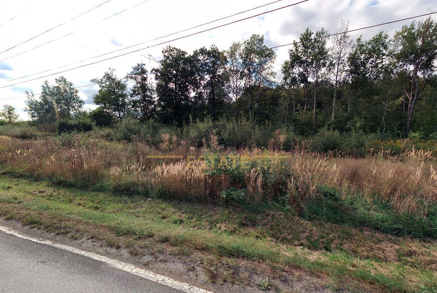 Prodej 0,37 ha pozemků v k.ú. Běchovice