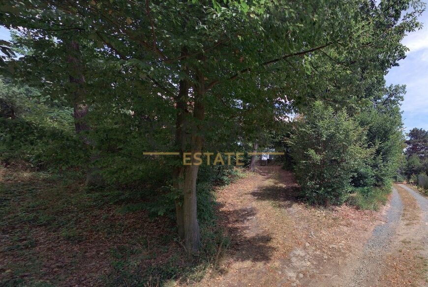 Lesní pozemek 1251 m2 v k.ú. Prostějovičky
