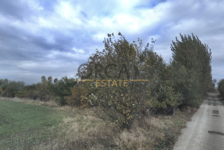 0,1 ha orné půdy v k.ú. Moravská Nová Ves