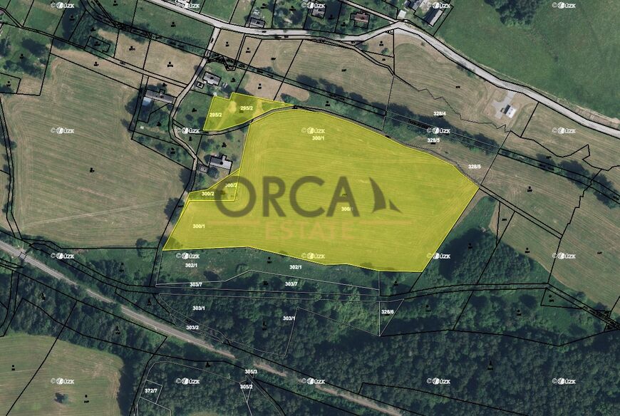 Prodej podílu 1/24 pozemků o podílové výměře 1464 m2 v k.ú. Borovnice u Staré Paky (okres Trutnov)