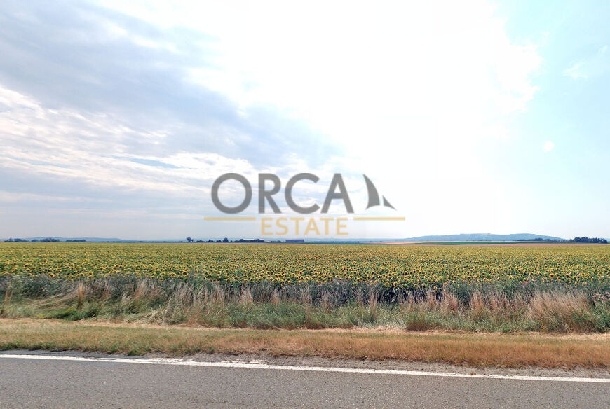 0,3 ha pozemků v k.ú. Holasice