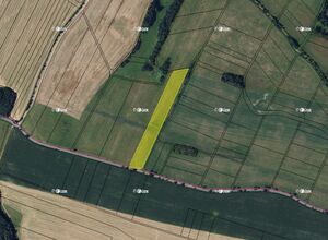 Fotografie nemovitosti - 1,4 ha orné půdy v k.ú. Dešná