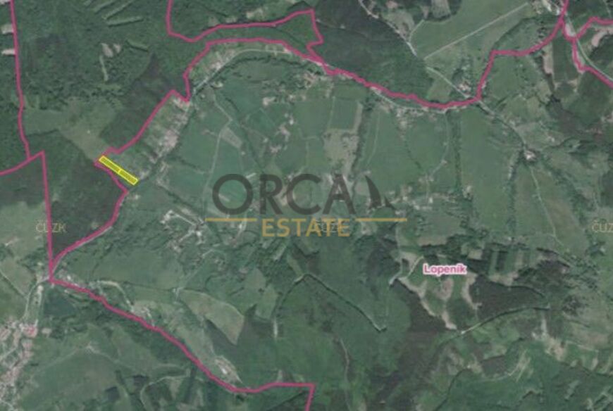 Prodej 0,6 ha zemědělských pozemků v k. ú. Lopeník