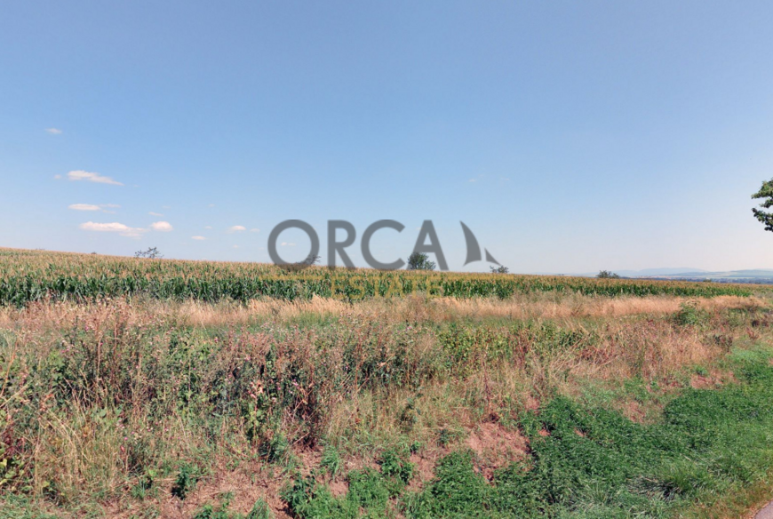 Prodej pozemků v k. ú. Moravský Písek o výměře 11.506 m2