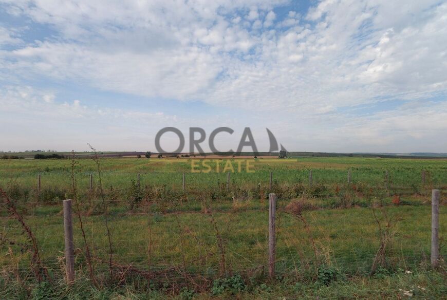 0,2 ha pozemků v k. ú. Strachotín