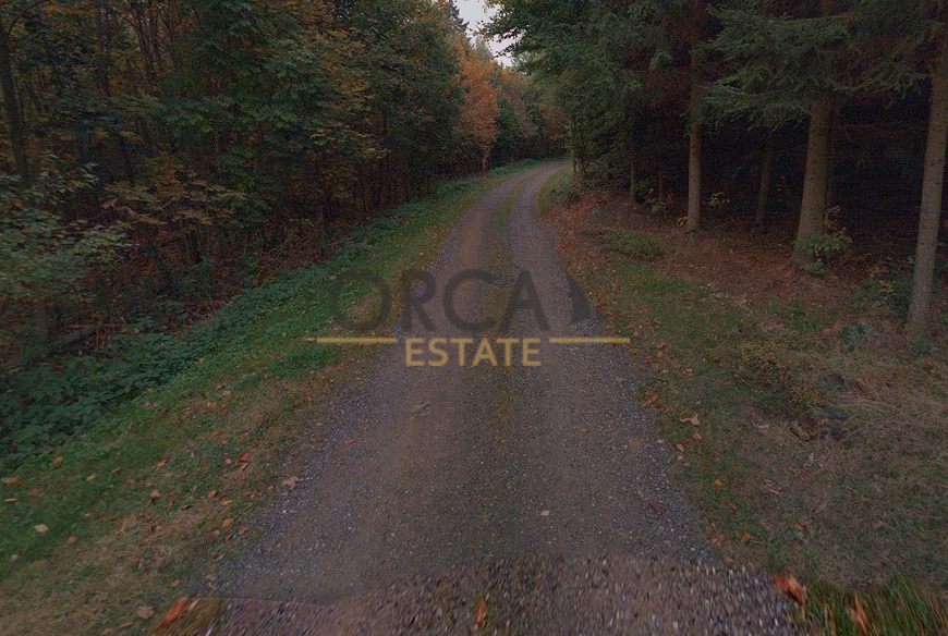 Prodej ostatní plochy v k. ú. Škodějov