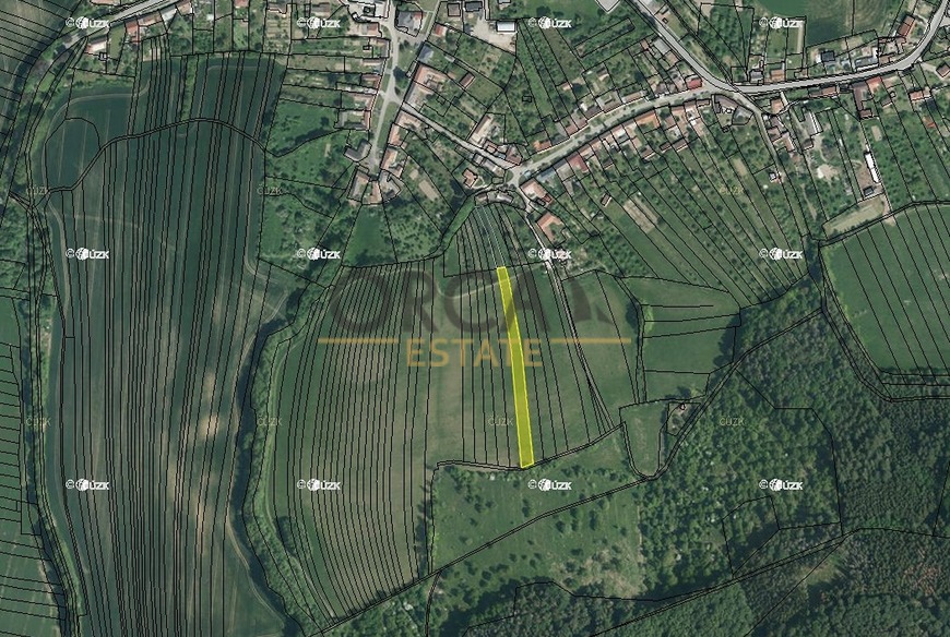 0,2 ha orné půdy v k. ú Cetechovice