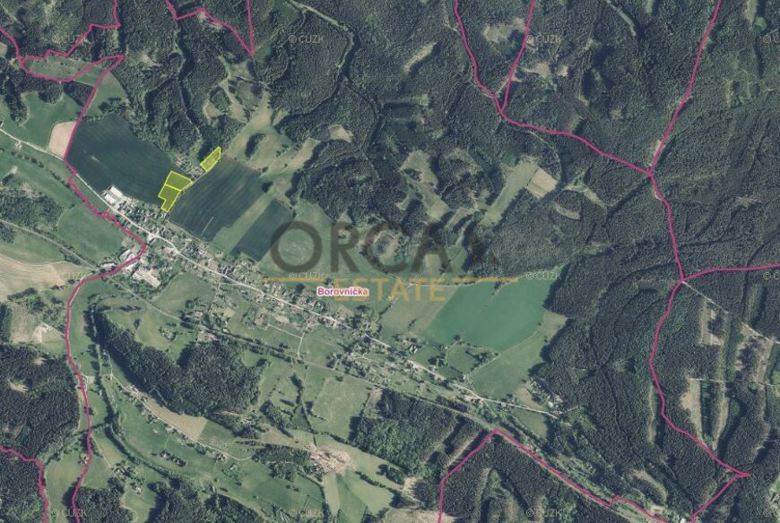 1,2 ha pozemků v k.ú. Borovnička