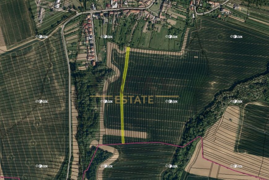 Orná půda v k.ú. Vřesovice