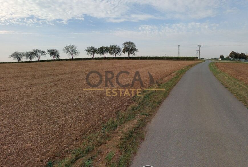 0,3 ha pozemků v k.ú. Dambořice