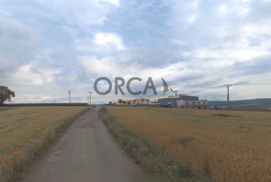 0,3 ha pozemků v k.ú. Dambořice
