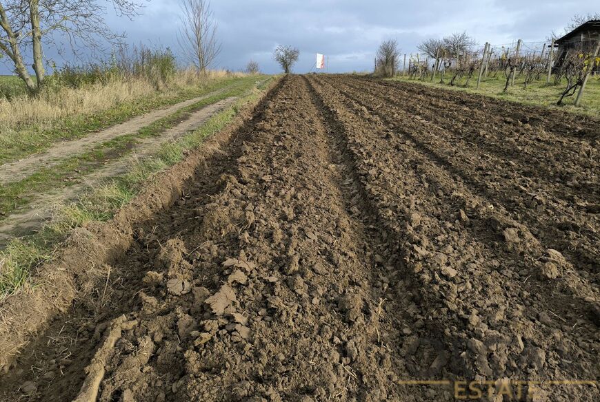Prodej pozemků 922 m2 v k. ú. Vlkoš u Kyjova