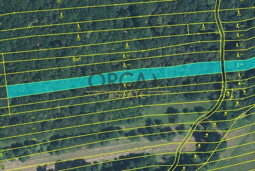 0,5 ha lesních pozemků v k. ú. Hradčovice