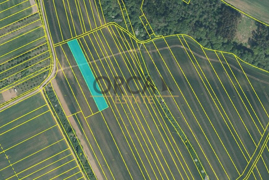 Prodej 1,8 ha pozemků v k. ú. Březolupy