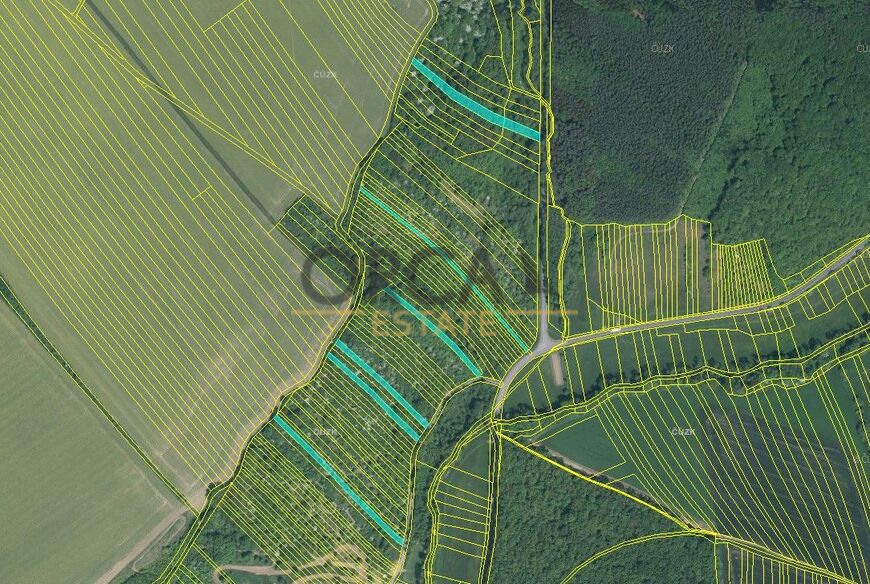 Prodej 1,8 ha pozemků v k. ú. Březolupy