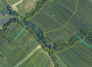 Fotografie nemovitosti - Aukce 0,6 ha pozemků v k. ú. Mistřice I