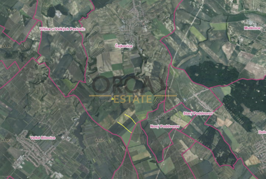 Prodej orné půdy Čejkovice, 11474 m2