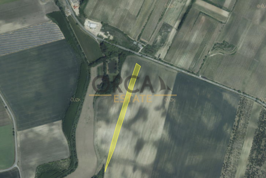 Prodej zemědělského pozemku Čejkovice, 13257 m2