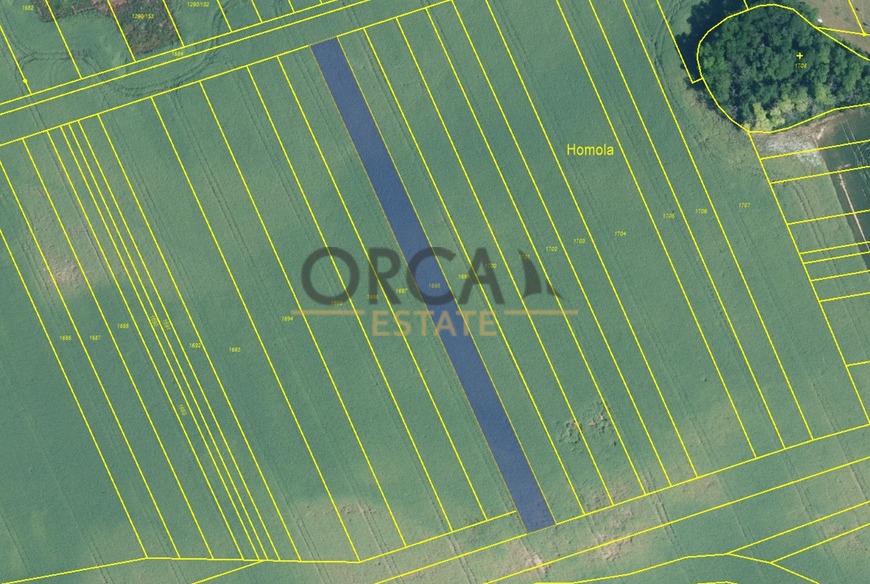Prodej orné půdy v Kostelci u Kyjova