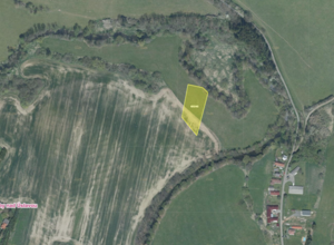 Fotografie nemovitosti - Srby nad Úslavou (3 100 m2)