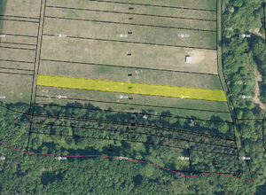 Fotografie nemovitosti - 0,21 ha orné půdy v k.ú. Mouřínov