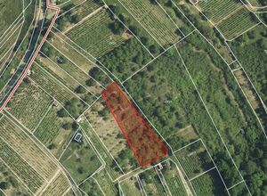 Fotografie nemovitosti - Hustopeče u Brna (1 387 m2)