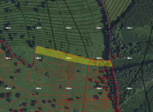 Fotografie nemovitosti - Nová Lhota u Veselí nad Moravou (8 639 m2)