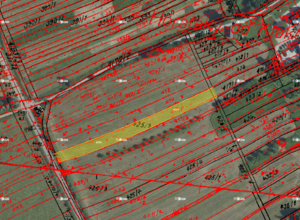 Fotografie nemovitosti - Nová Lhota u Veselí nad Moravou (2 178 m2)
