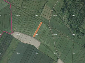 Fotografie nemovitosti - Borkovice (4 432 m2)