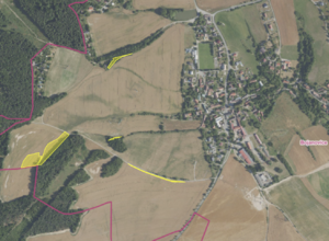 Fotografie nemovitosti - Prodej pole Bojanovice, 8542 m2