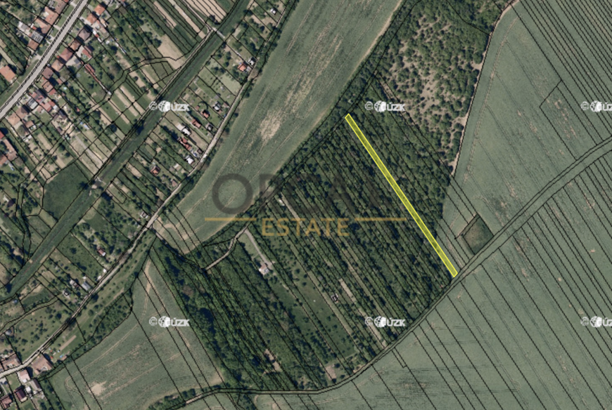 Prodej pozemků Březolupy, 1729 m2