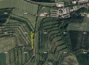 Fotografie nemovitosti - Boršice u Buchlovic (8 735 m2)