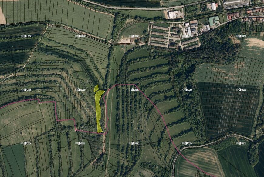 Boršice u Buchlovic (8 735 m2)