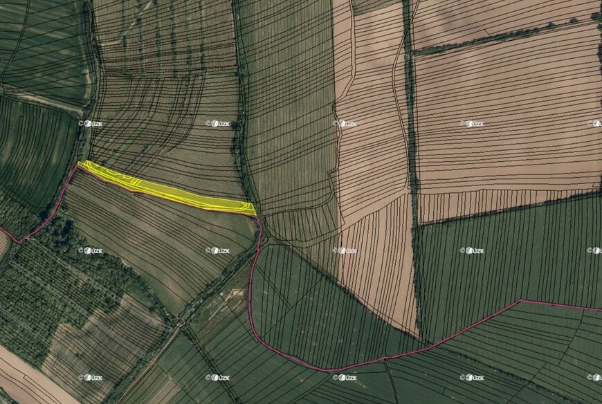 Boršice u Buchlovic (8 735 m2)