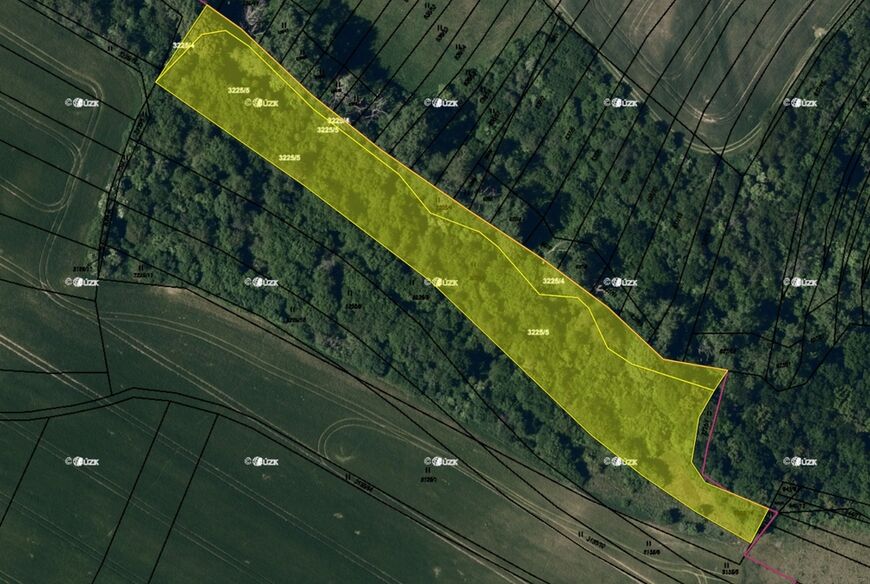 Dědice u Vyškova (7 855 m2)