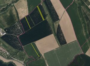 Fotografie nemovitosti - Havřice (7 704 m2)