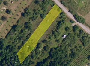 Fotografie nemovitosti - Dolní Kounice (1 406 m2)