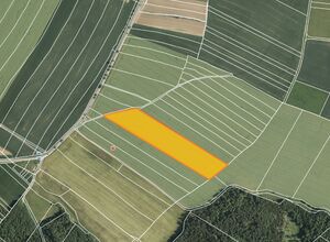 Fotografie nemovitosti - Kuřimská Nová Ves