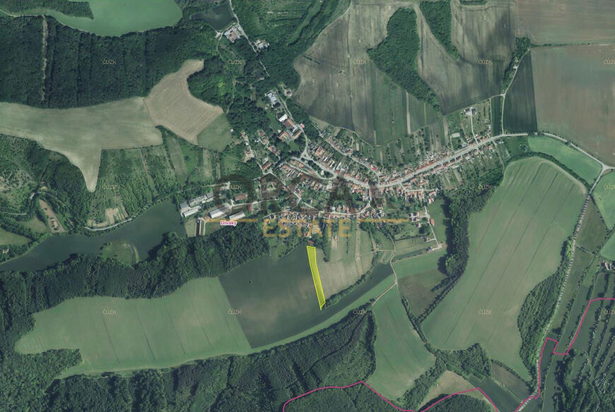 Prodej pozemku o výměře 6238 m2 v k.ú. Diváky