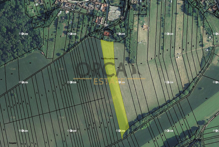 Prodej pozemku o výměře 6238 m2 v k.ú. Diváky