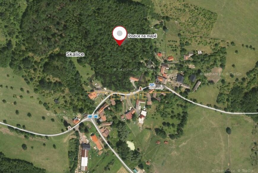 Prodej lesního pozemku v k.ú. Skalice u Lovosic o výměře 15940 m2
