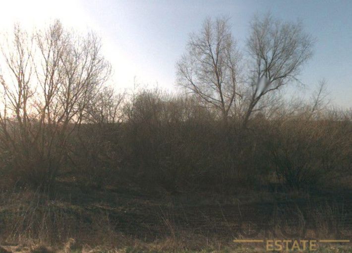 0,5 ha lesního pozemku v k.ú. Stařechovice
