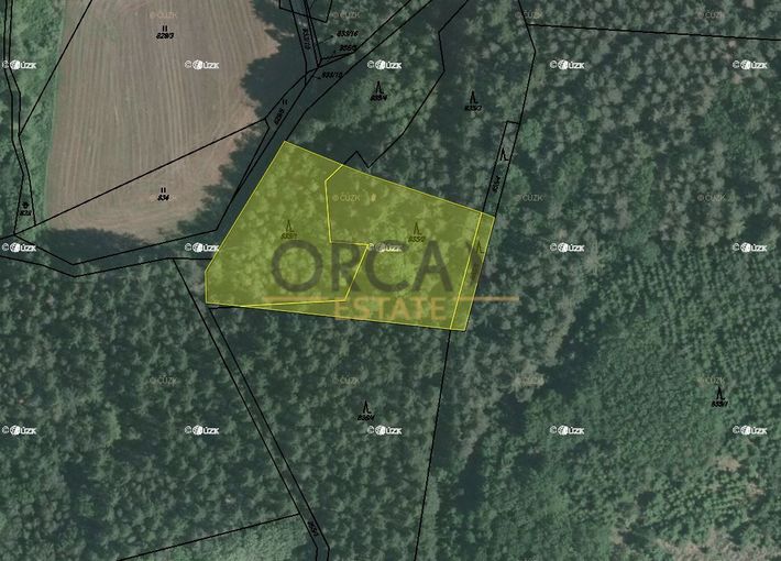 Aukce 0,4 ha lesního pozemku v k.ú. Petrovice u Sedlčan