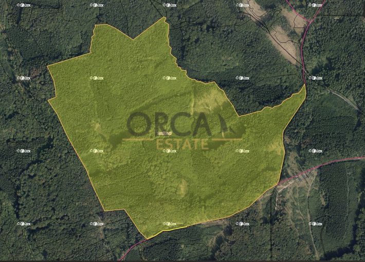 Aukce 0,12 ha lesních pozemků v k.ú. Loučka II